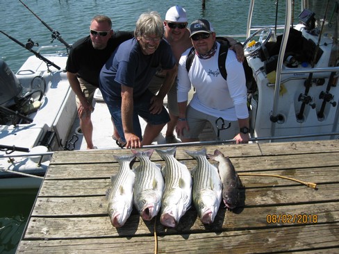 Nice Striped Bass